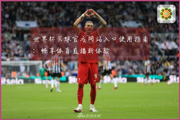 世界杯买球官方网站入口使用指南：畅享体育直播新体验