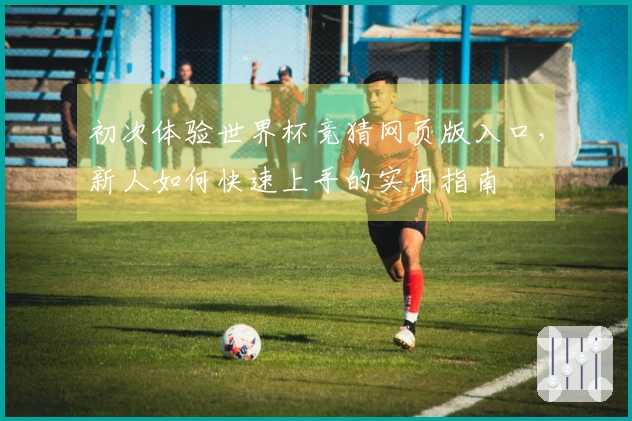 初次体验世界杯竞猜网页版入口，新人如何快速上手的实用指南