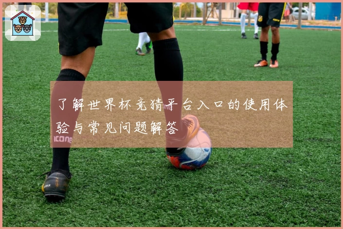 了解世界杯竞猜平台入口的使用体验与常见问题解答
