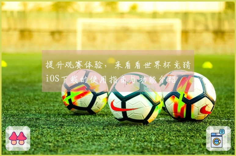 提升观赛体验，来看看世界杯竞猜iOS下载的使用指南与功能介绍